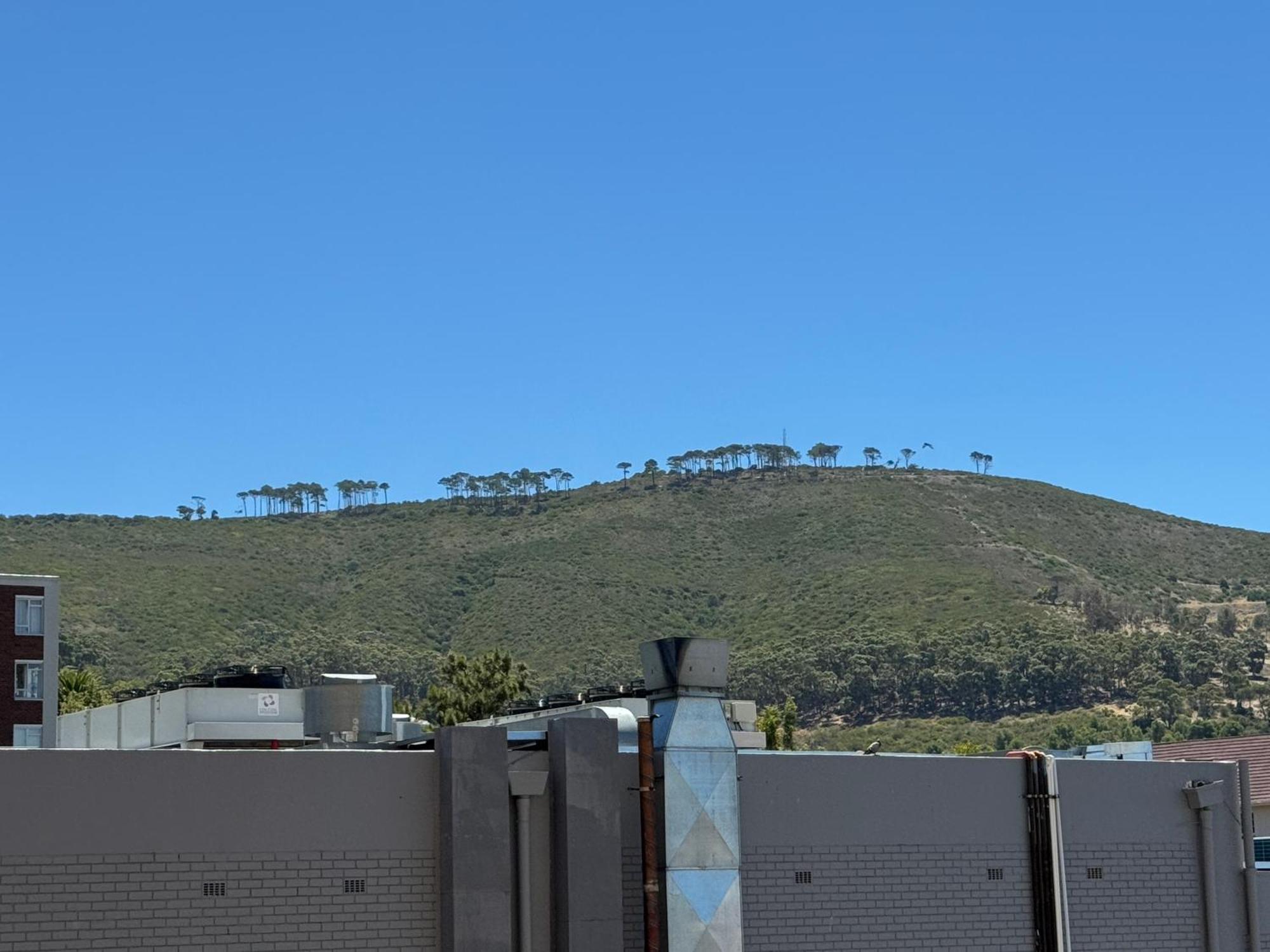 Faulaa Apartment Cape Town Dış mekan fotoğraf